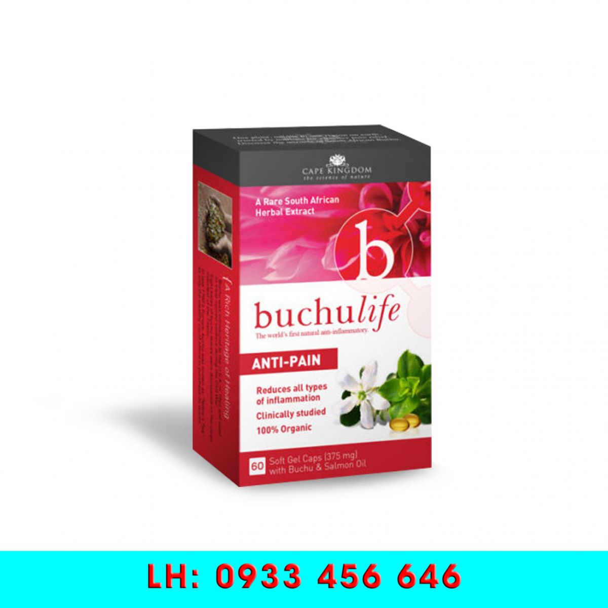 HỘP DƯỢC PHẨM 11