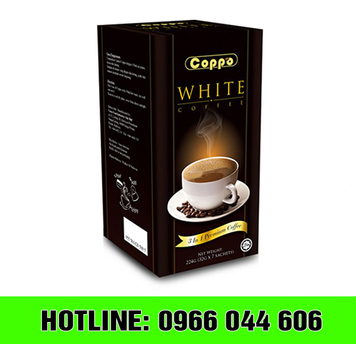 in-hop-giay-dung-cafe-5