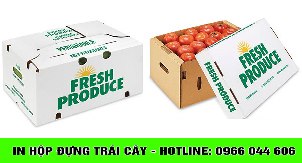 in-hop-trai-cay-gia-re